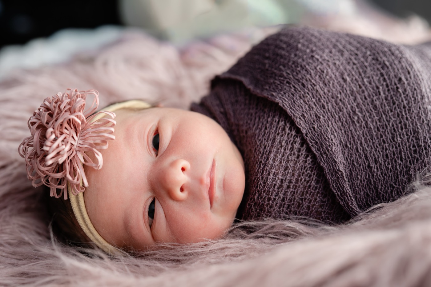 Annalyn May Bromley newborn